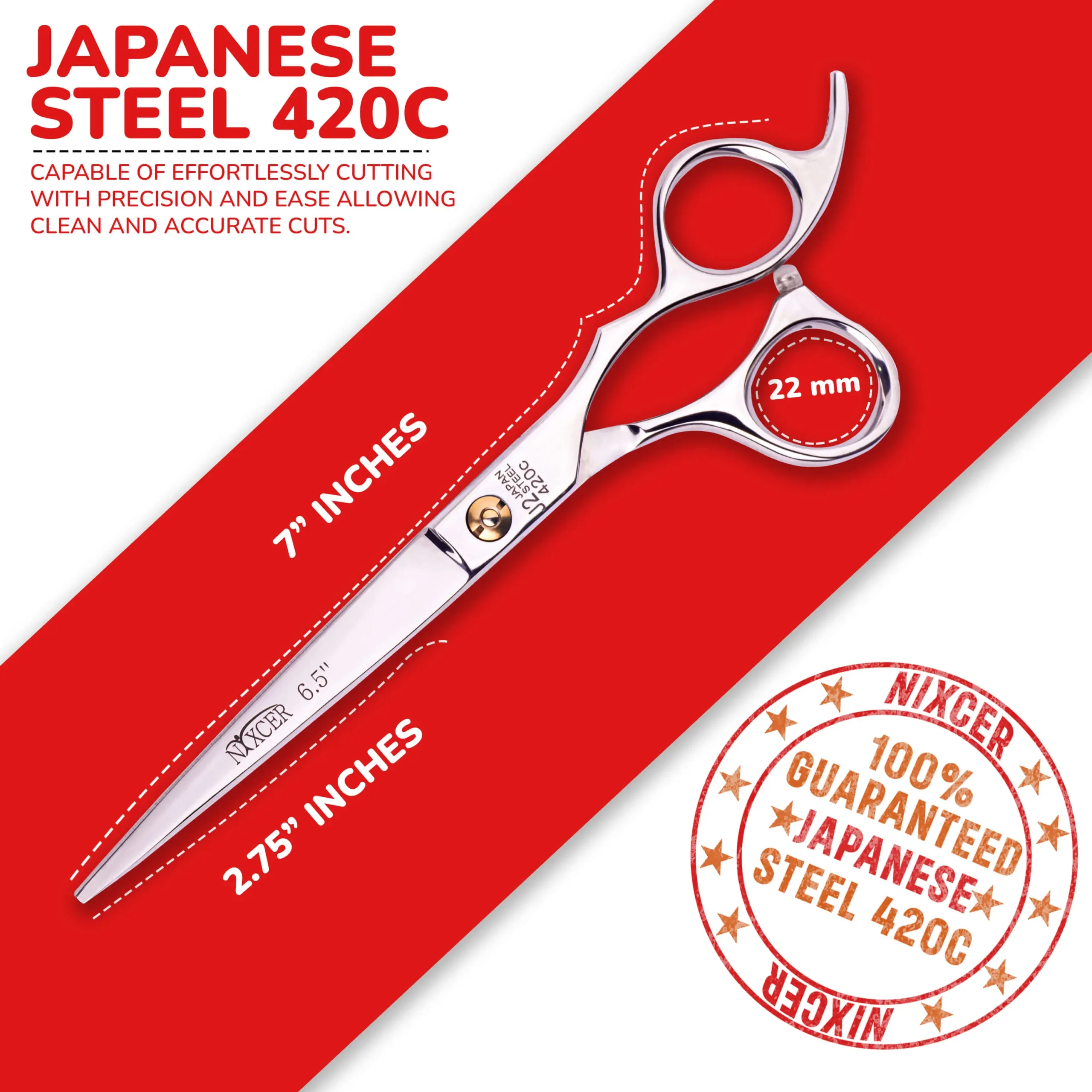 Professional Hairdressing Scissors with Key Screw Silver